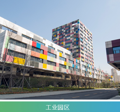 GS500TC公网对讲机耳机TYPE-C有线