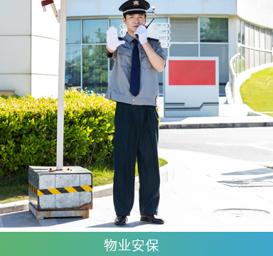 GC618商务版专业公网对讲机