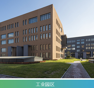 GC618 PLUS升级版双模对讲机(公网+模拟)