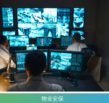 GC067基础版模拟对讲机(一键对频)